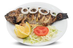 Tilapia