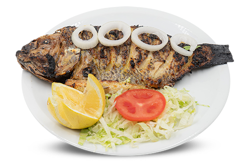 Tilapia